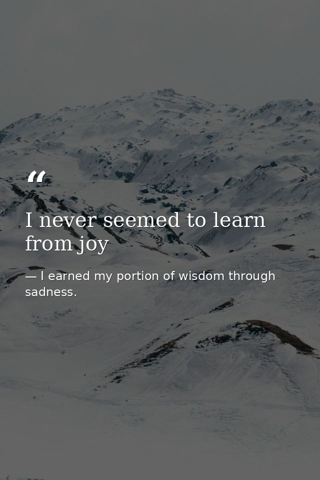 I never seemed to learn from joy — I earned my portion of wisdom through sadness.