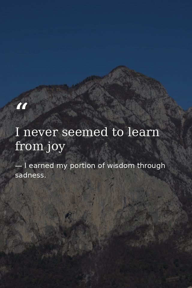 I never seemed to learn from joy — I earned my portion of wisdom through sadness.