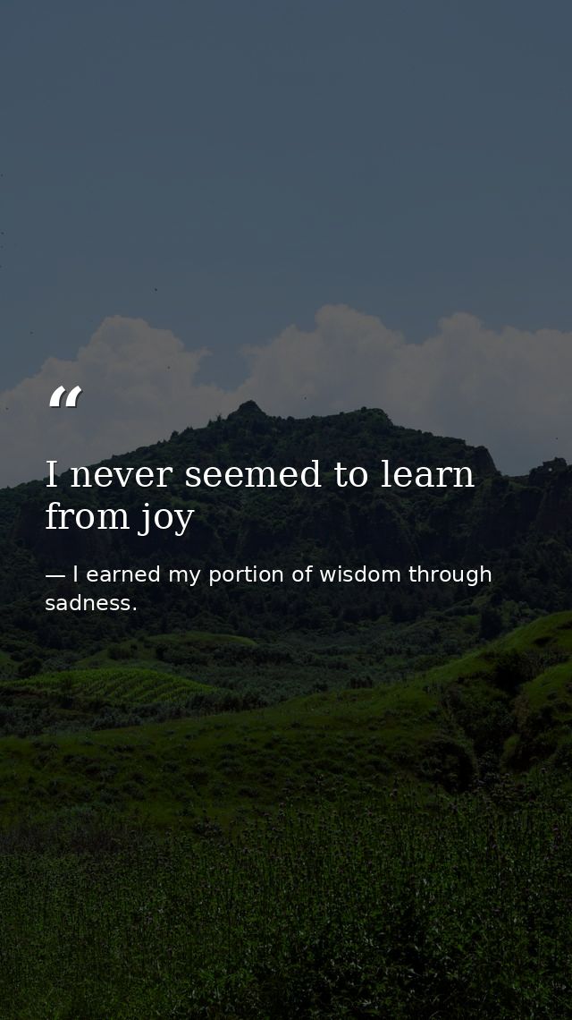 I never seemed to learn from joy — I earned my portion of wisdom through sadness.