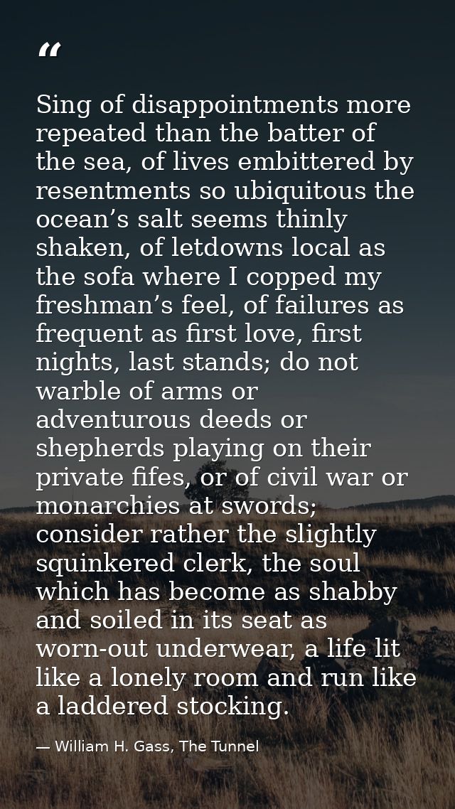Sing of disappointments more repeated than the batter of the sea, of lives embittered by resentments so ubiquitous the o — William H. Gass, The Tunnel