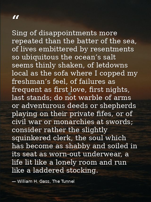 Sing of disappointments more repeated than the batter of the sea, of lives embittered by resentments so ubiquitous the o — William H. Gass, The Tunnel