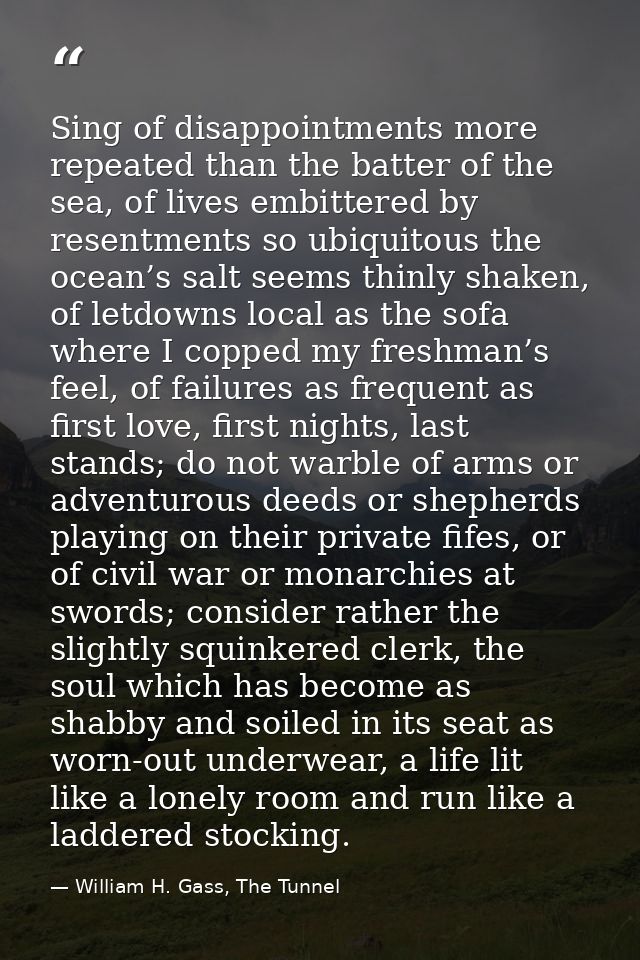 Sing of disappointments more repeated than the batter of the sea, of lives embittered by resentments so ubiquitous the o — William H. Gass, The Tunnel