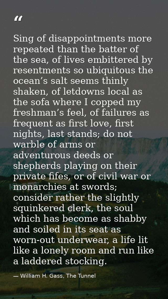 Sing of disappointments more repeated than the batter of the sea, of lives embittered by resentments so ubiquitous the o — William H. Gass, The Tunnel