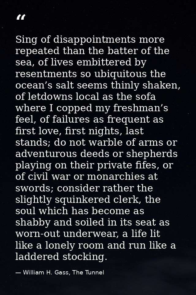 Sing of disappointments more repeated than the batter of the sea, of lives embittered by resentments so ubiquitous the o — William H. Gass, The Tunnel
