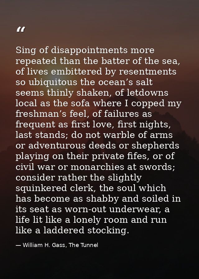 Sing of disappointments more repeated than the batter of the sea, of lives embittered by resentments so ubiquitous the o — William H. Gass, The Tunnel