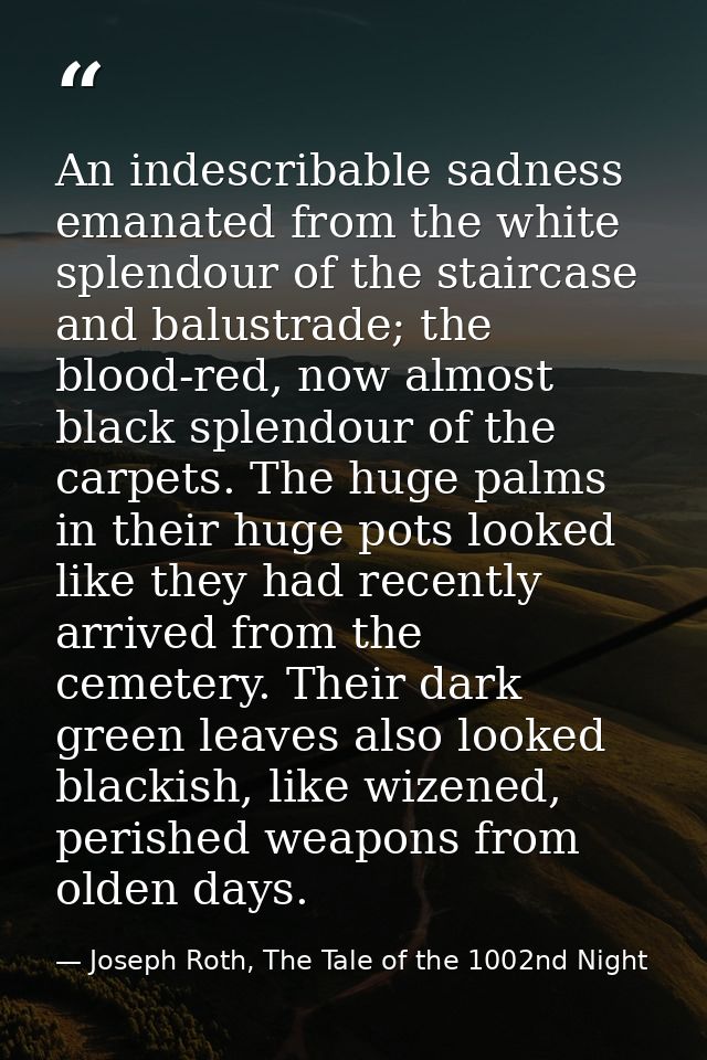 An indescribable sadness emanated from the white splendour of the staircase and balustrade; the blood-red, now almost bl — Joseph Roth, The Tale of the 1002nd Night