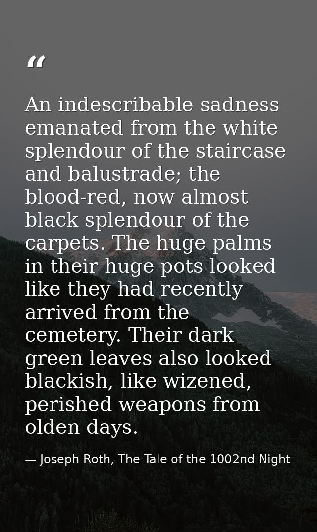 An indescribable sadness emanated from the white splendour of the staircase and balustrade; the blood-red, now almost bl — Joseph Roth, The Tale of the 1002nd Night