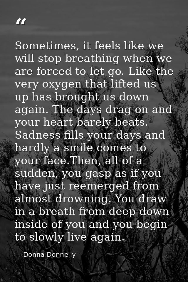 Sometimes, it feels like we will stop breathing when we are forced to let go. Like the very oxygen that lifted us up has — Donna Donnelly