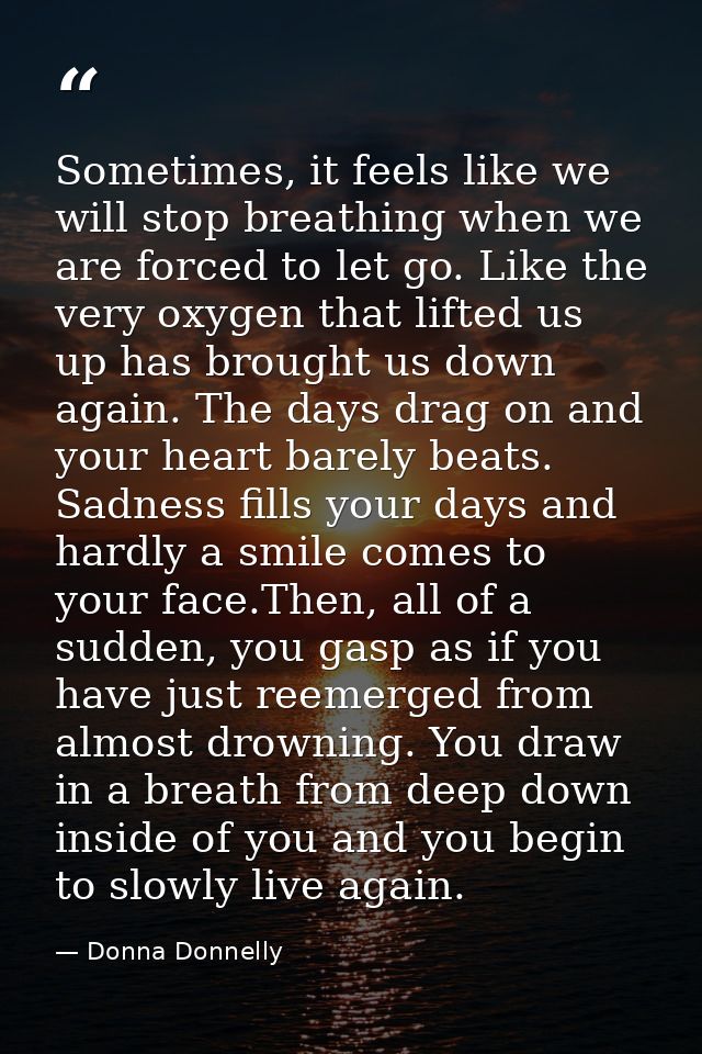 Sometimes, it feels like we will stop breathing when we are forced to let go. Like the very oxygen that lifted us up has — Donna Donnelly