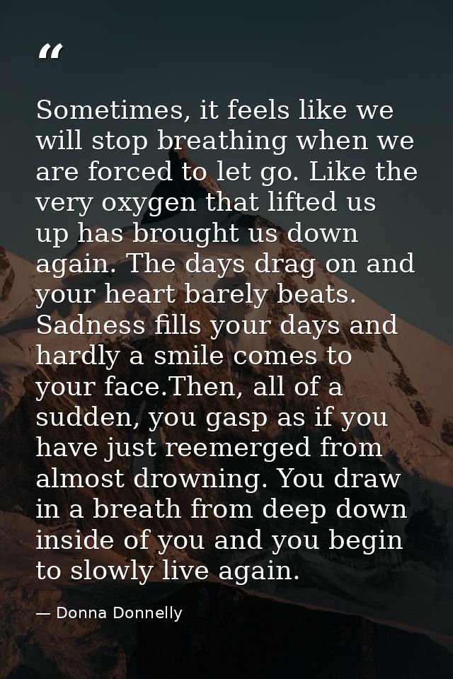 Sometimes, it feels like we will stop breathing when we are forced to let go. Like the very oxygen that lifted us up has — Donna Donnelly
