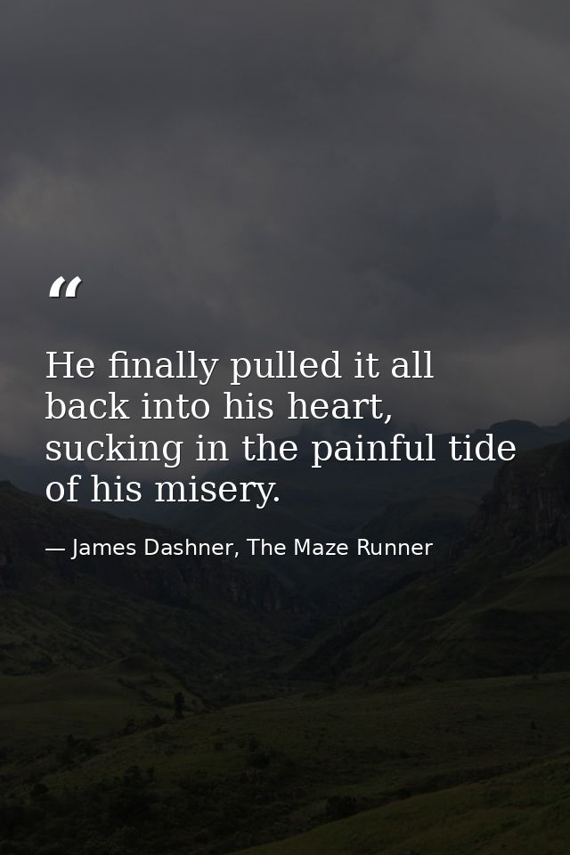 He finally pulled it all back into his heart, sucking in the painful tide of his misery. — James Dashner, The Maze Runner