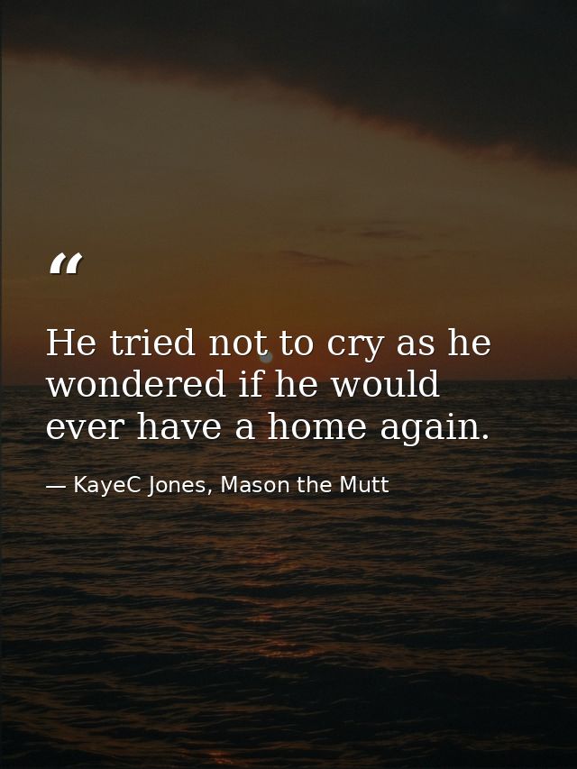 He tried not to cry as he wondered if he would ever have a home again. — KayeC Jones, Mason the Mutt