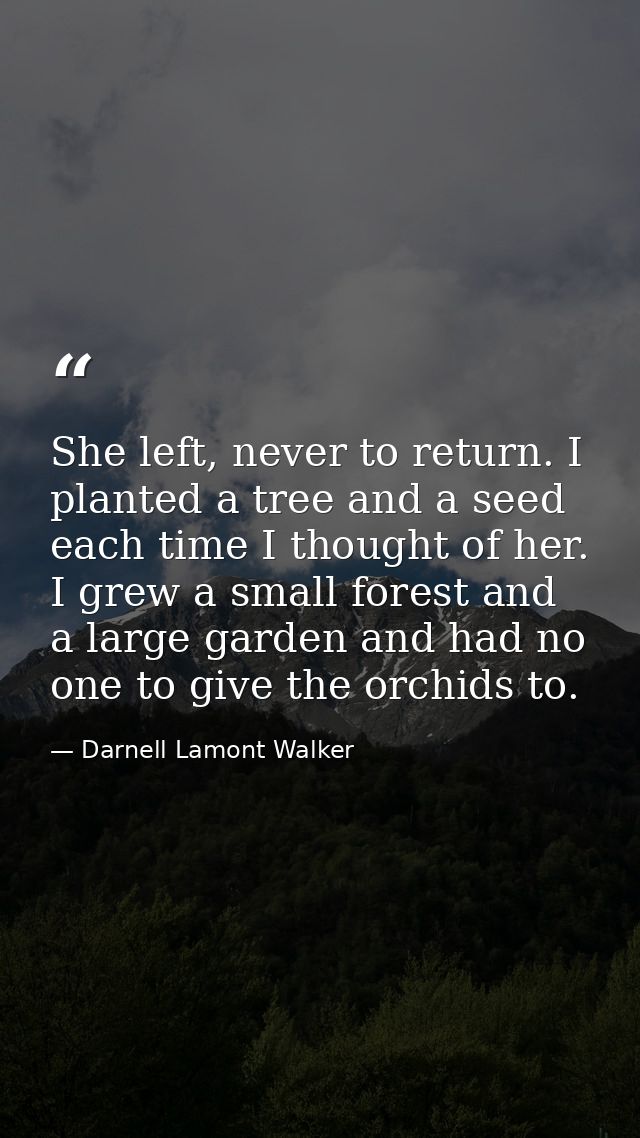 She left, never to return. I planted a tree and a seed each time I thought of her. I grew a small forest and a large gar — Darnell Lamont Walker
