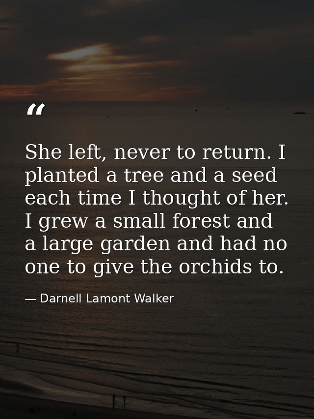 She left, never to return. I planted a tree and a seed each time I thought of her. I grew a small forest and a large gar — Darnell Lamont Walker