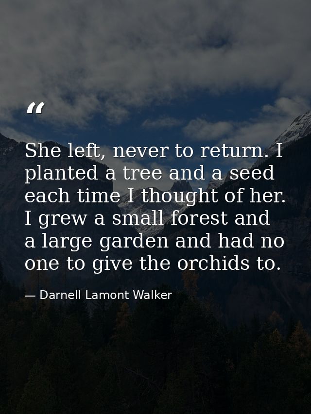 She left, never to return. I planted a tree and a seed each time I thought of her. I grew a small forest and a large gar — Darnell Lamont Walker