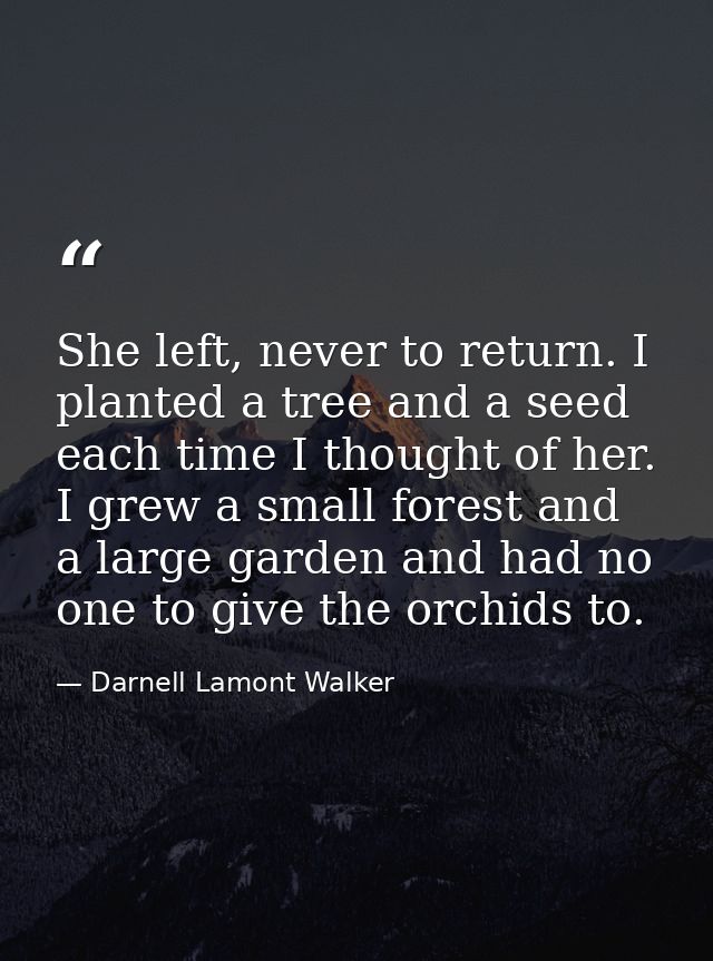 She left, never to return. I planted a tree and a seed each time I thought of her. I grew a small forest and a large gar — Darnell Lamont Walker