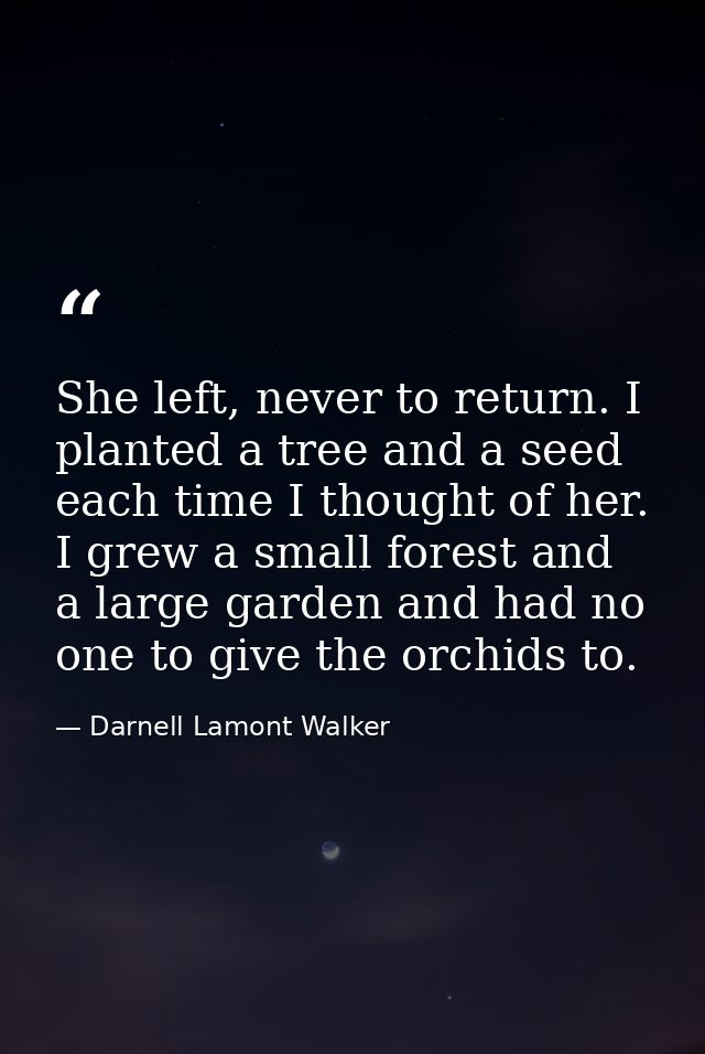 She left, never to return. I planted a tree and a seed each time I thought of her. I grew a small forest and a large gar — Darnell Lamont Walker