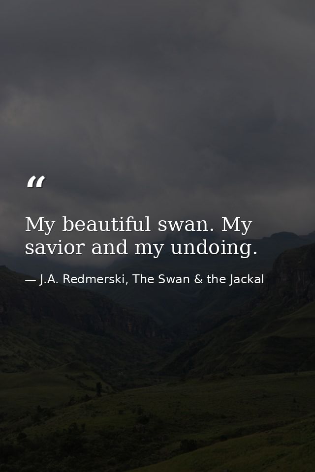 My beautiful swan. My savior and my undoing. — J.A. Redmerski, The Swan & the Jackal