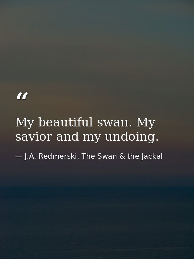 My beautiful swan. My savior and my undoing. — J.A. Redmerski, The Swan & the Jackal