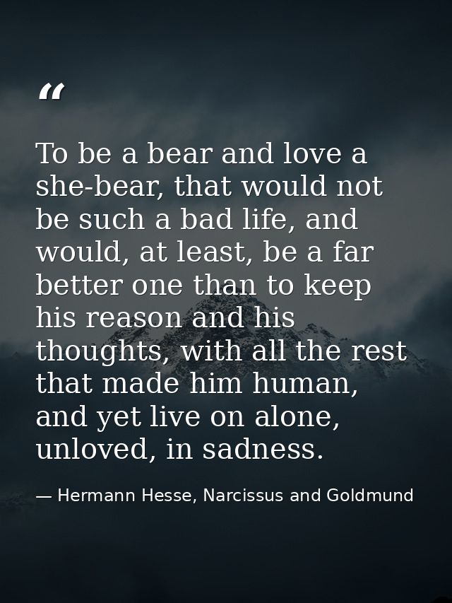 To be a bear and love a she-bear, that would not be such a bad life, and would, at least, be a far better one than to ke — Hermann Hesse, Narcissus and Goldmund