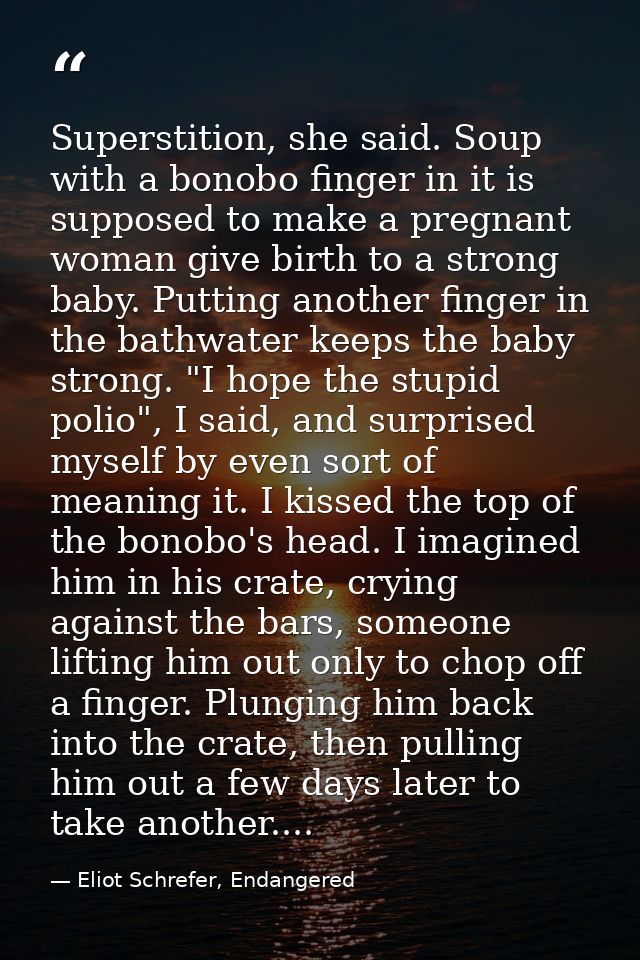 Superstition, she said. Soup with a bonobo finger in it is supposed to make a pregnant woman give birth to a strong baby — Eliot Schrefer, Endangered