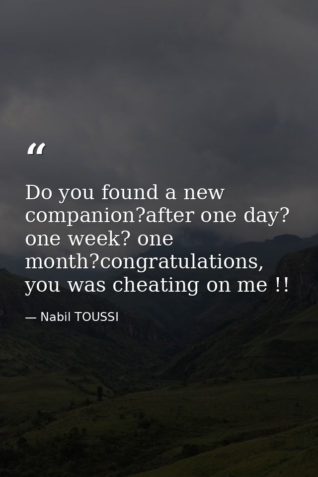Do you found a new companion?after one day? one week? one month?congratulations, you was cheating on me !! — Nabil TOUSSI