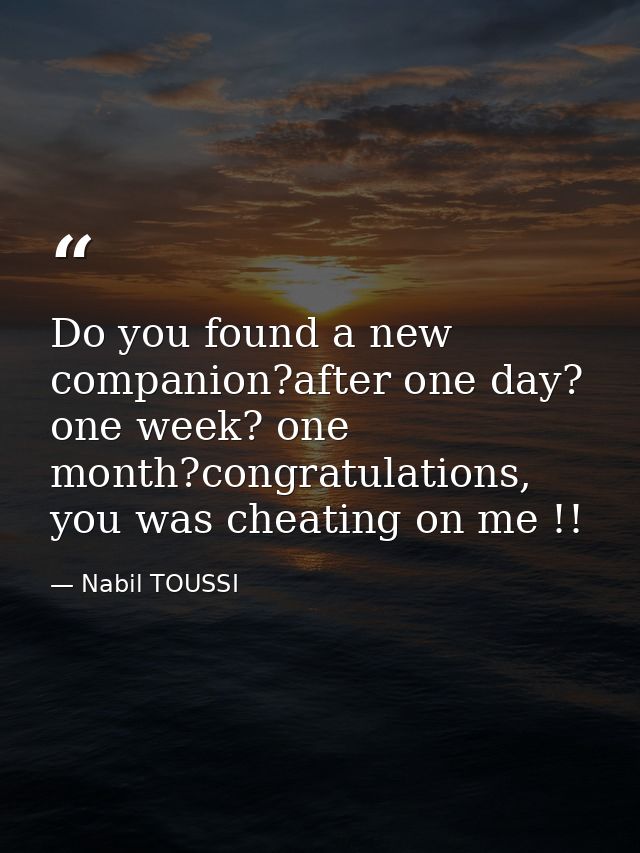 Do you found a new companion?after one day? one week? one month?congratulations, you was cheating on me !! — Nabil TOUSSI