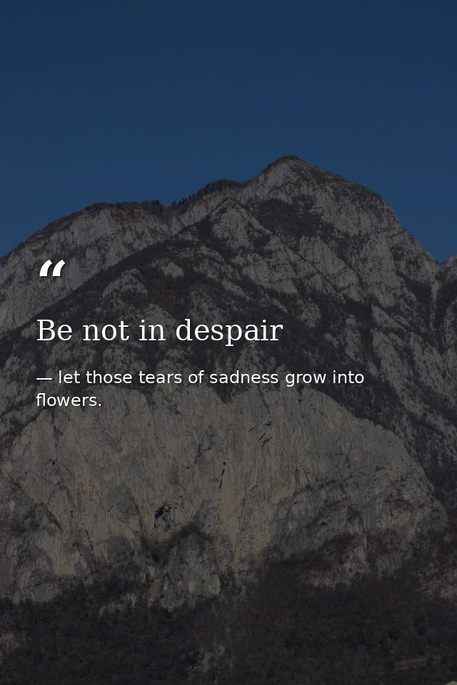 Be not in despair — let those tears of sadness grow into flowers.