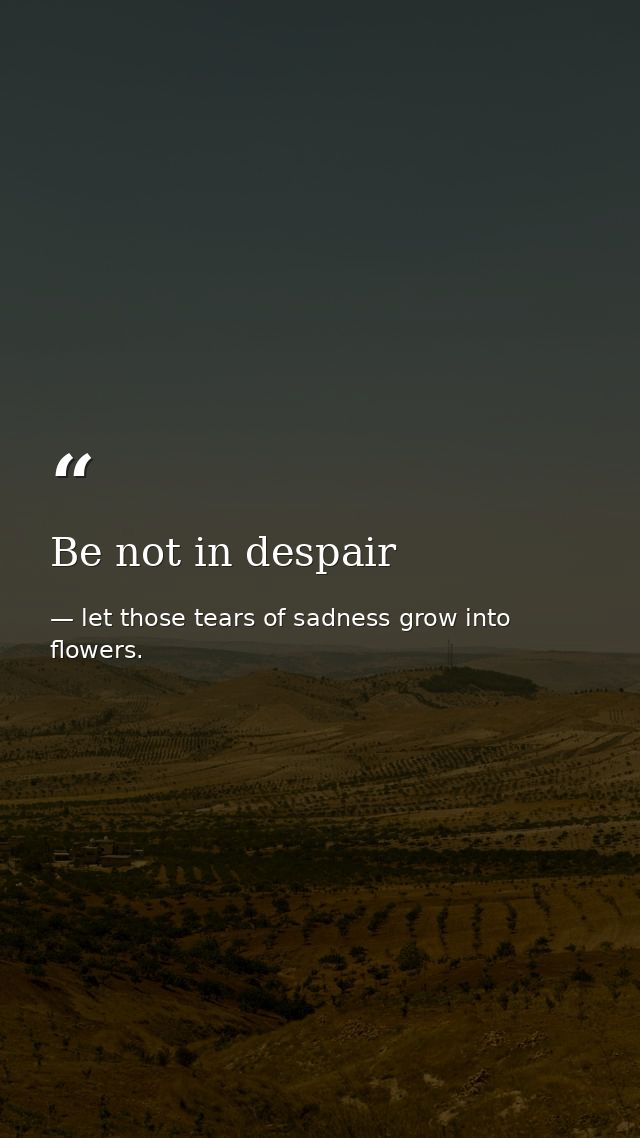 Be not in despair — let those tears of sadness grow into flowers.