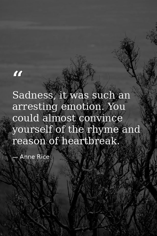 Sadness, it was such an arresting emotion. You could almost convince yourself of the rhyme and reason of heartbreak. — Anne Rice