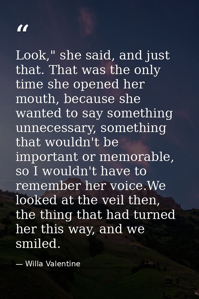 Look," she said, and just that. That was the only time she opened her mouth, because she wanted to say something unneces — Willa Valentine