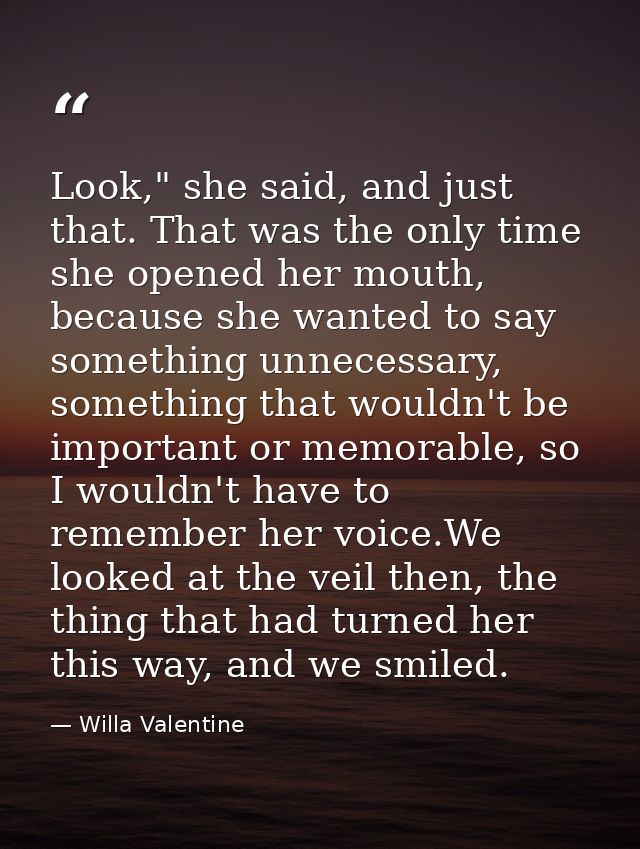 Look," she said, and just that. That was the only time she opened her mouth, because she wanted to say something unneces — Willa Valentine