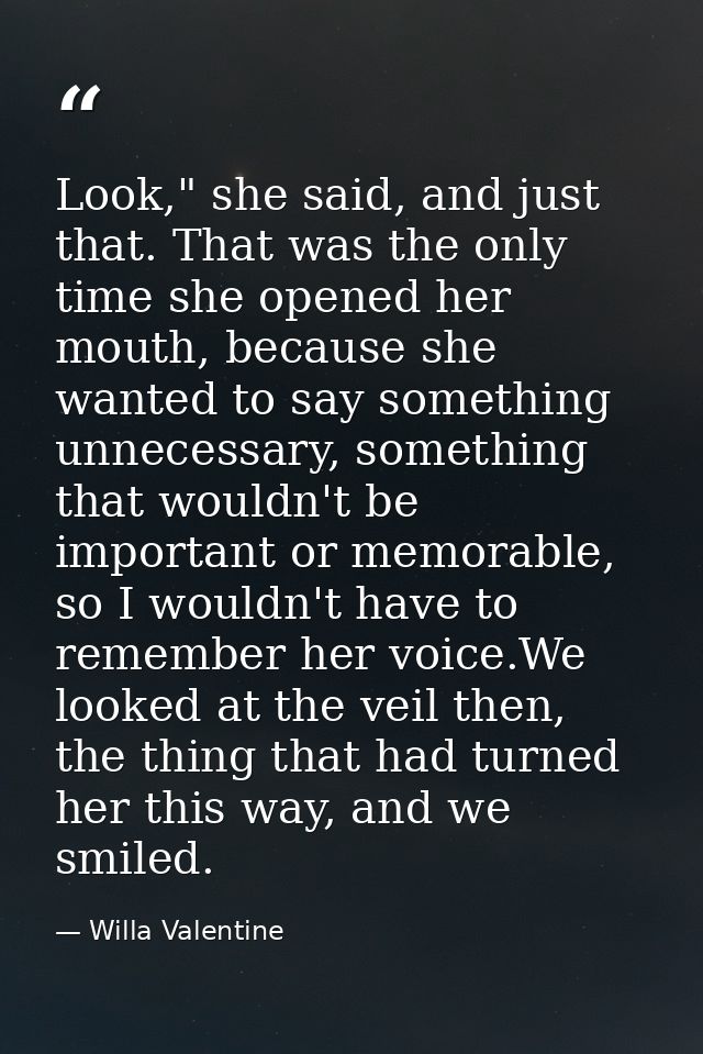 Look," she said, and just that. That was the only time she opened her mouth, because she wanted to say something unneces — Willa Valentine
