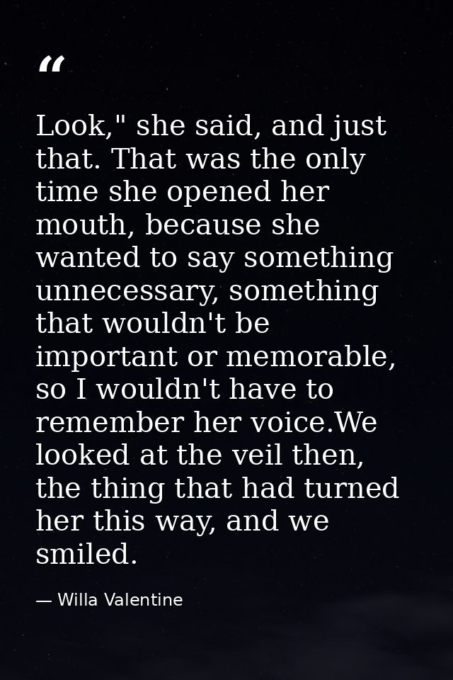 Look," she said, and just that. That was the only time she opened her mouth, because she wanted to say something unneces — Willa Valentine