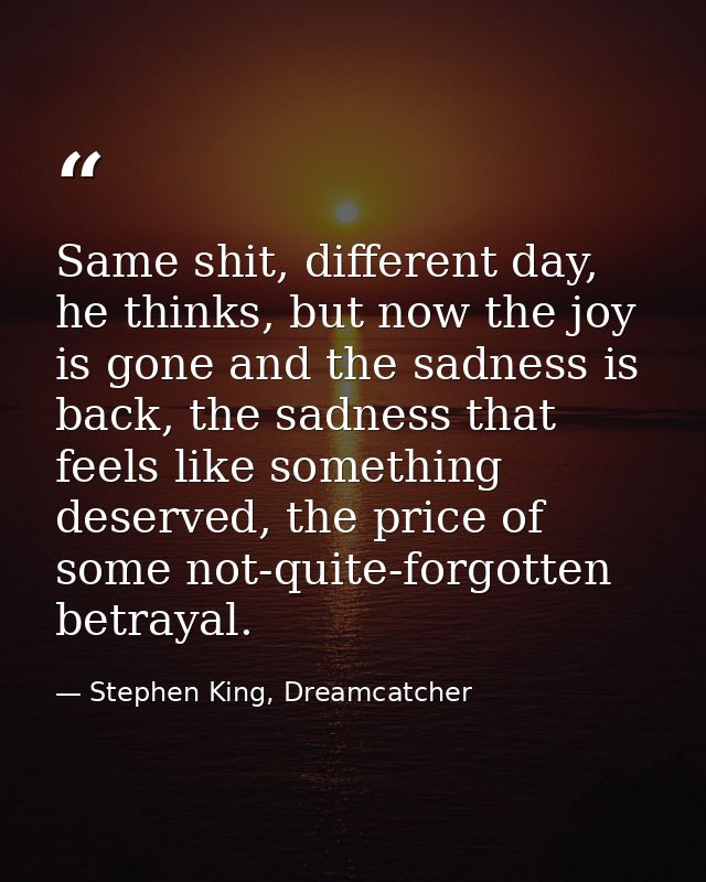 Same shit, different day, he thinks, but now the joy is gone and the sadness is back, the sadness that feels like someth — Stephen King, Dreamcatcher