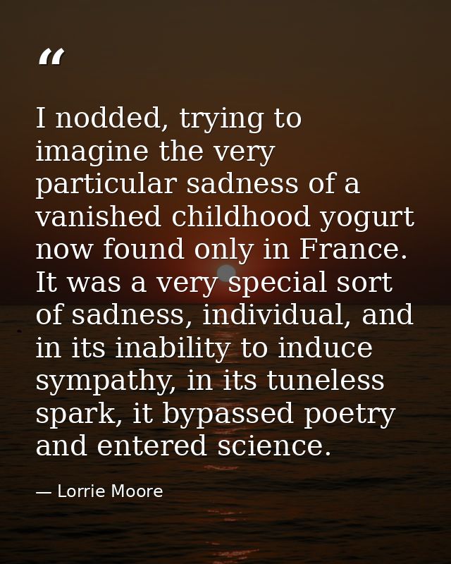 I nodded, trying to imagine the very particular sadness of a vanished childhood yogurt now found only in France. It was  — Lorrie Moore