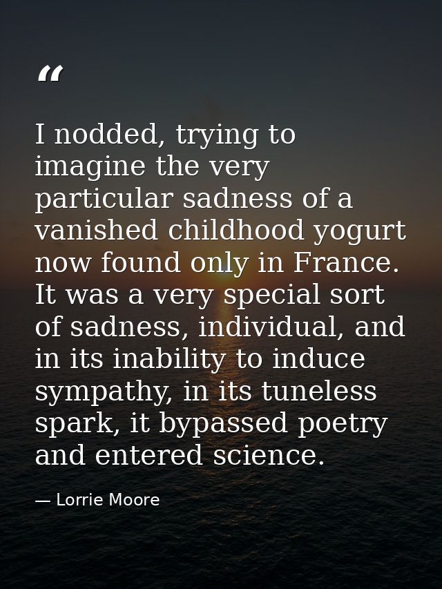 I nodded, trying to imagine the very particular sadness of a vanished childhood yogurt now found only in France. It was  — Lorrie Moore