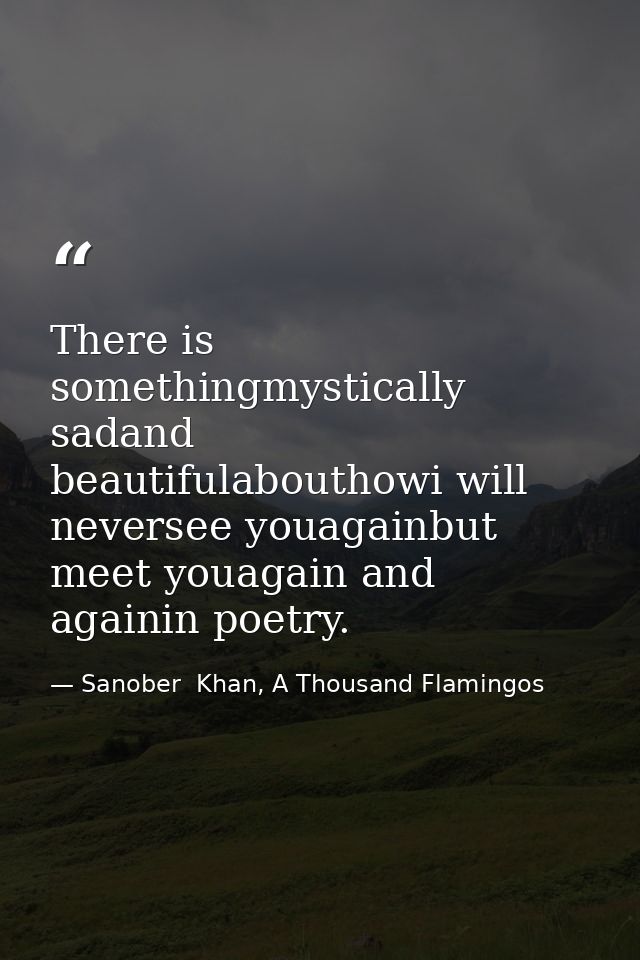 There is somethingmystically sadand beautifulabouthowi will neversee youagainbut meet youagain and againin poetry. — Sanober  Khan, A Thousand Flamingos