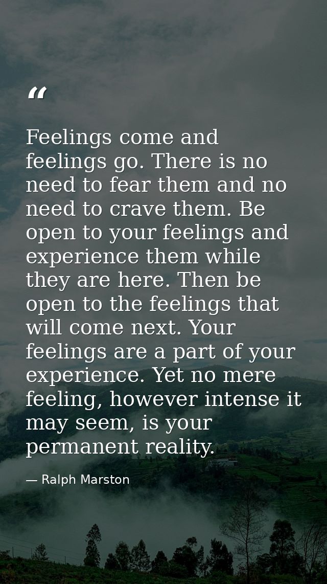 Feelings come and feelings go. There is no need to fear them and no need to crave them. Be open to your feelings and exp — Ralph Marston