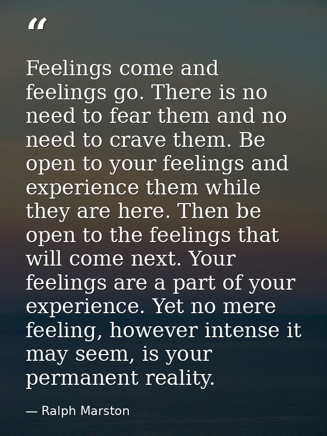 Feelings come and feelings go. There is no need to fear them and no need to crave them. Be open to your feelings and exp — Ralph Marston