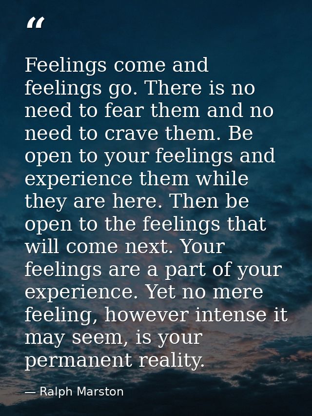 Feelings come and feelings go. There is no need to fear them and no need to crave them. Be open to your feelings and exp — Ralph Marston