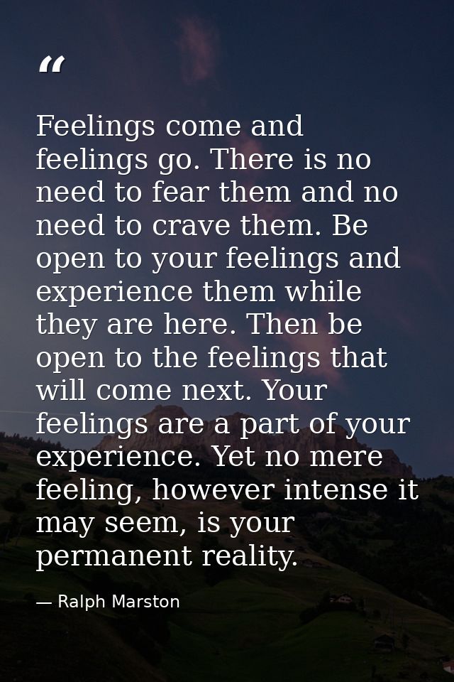 Feelings come and feelings go. There is no need to fear them and no need to crave them. Be open to your feelings and exp — Ralph Marston