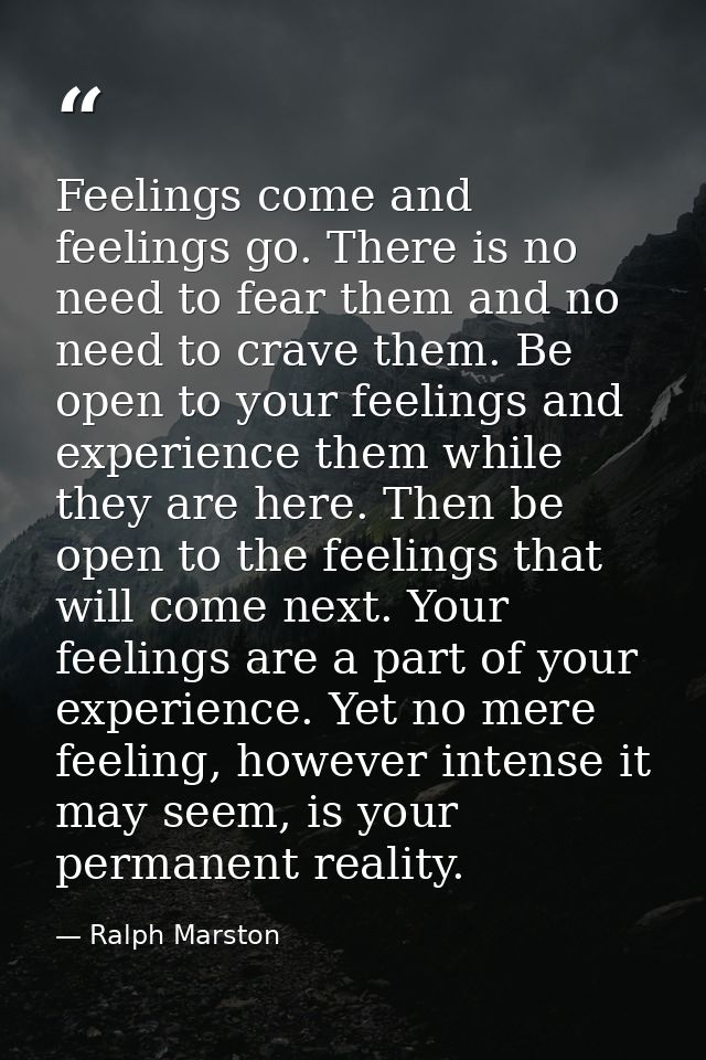 Feelings come and feelings go. There is no need to fear them and no need to crave them. Be open to your feelings and exp — Ralph Marston
