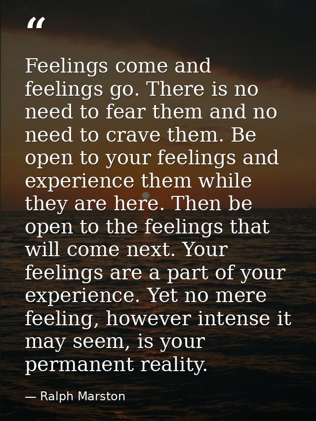 Feelings come and feelings go. There is no need to fear them and no need to crave them. Be open to your feelings and exp — Ralph Marston