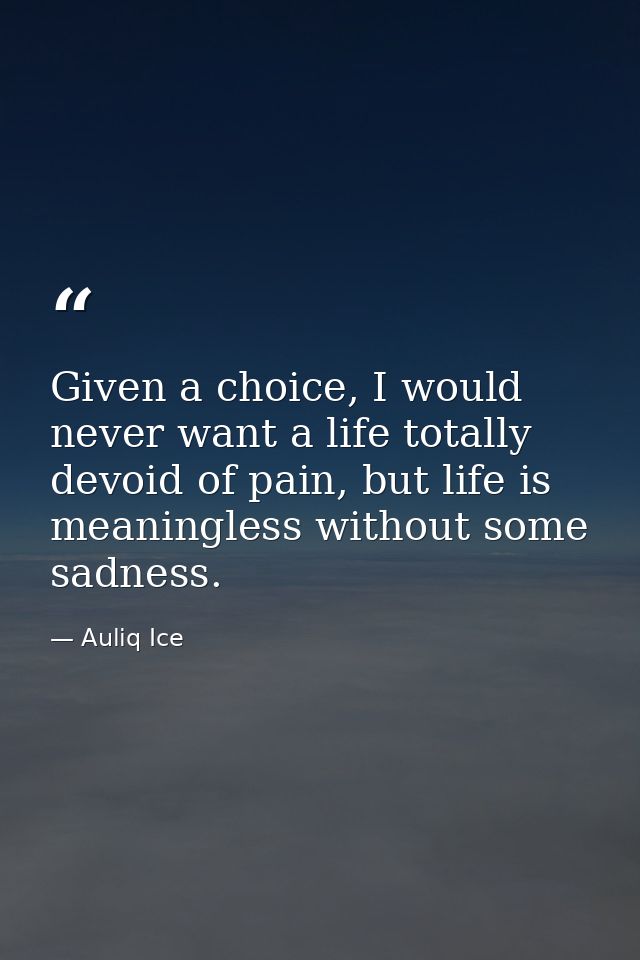 Given a choice, I would never want a life totally devoid of pain, but life is meaningless without some sadness. — Auliq Ice