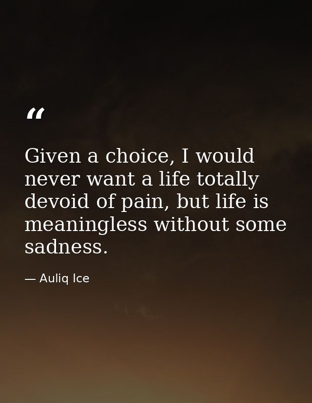 Given a choice, I would never want a life totally devoid of pain, but life is meaningless without some sadness. — Auliq Ice