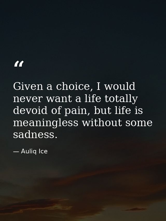 Given a choice, I would never want a life totally devoid of pain, but life is meaningless without some sadness. — Auliq Ice