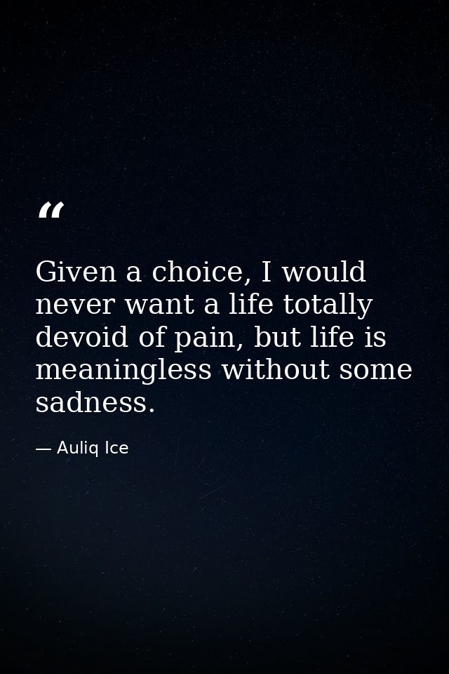 Given a choice, I would never want a life totally devoid of pain, but life is meaningless without some sadness. — Auliq Ice