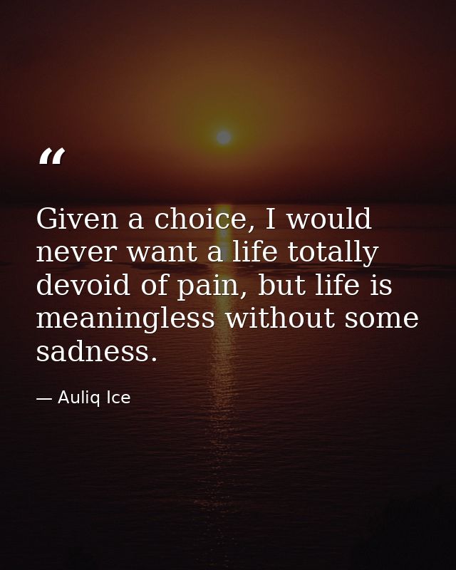 Given a choice, I would never want a life totally devoid of pain, but life is meaningless without some sadness. — Auliq Ice