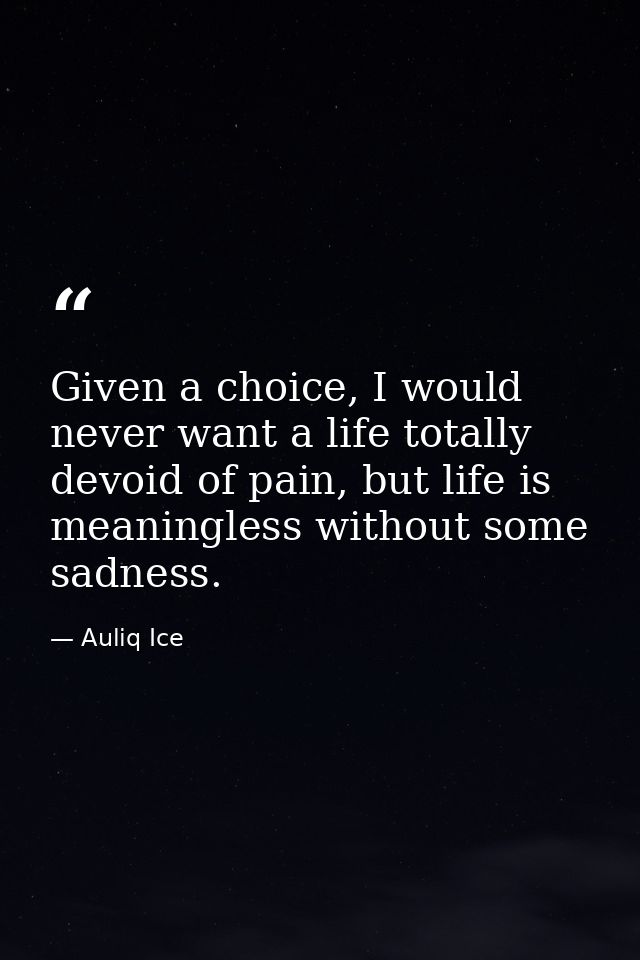 Given a choice, I would never want a life totally devoid of pain, but life is meaningless without some sadness. — Auliq Ice